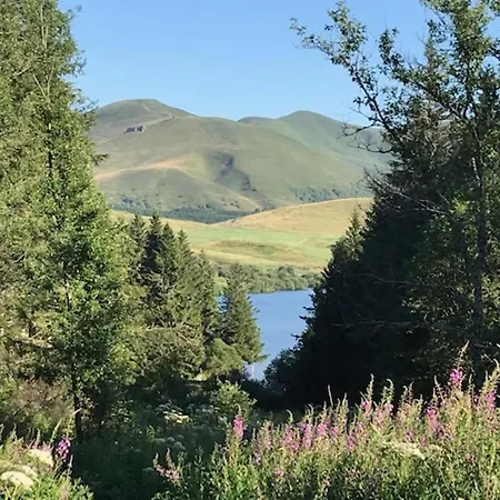 T2 A Avec Wifi A 100m Des Thermes - Fr-1-608-274 *